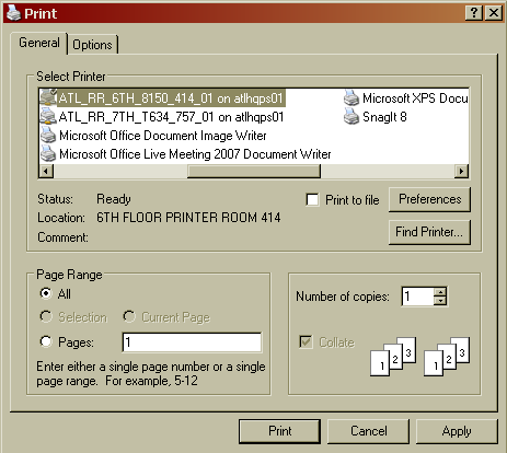 Example of Microsoft Print window