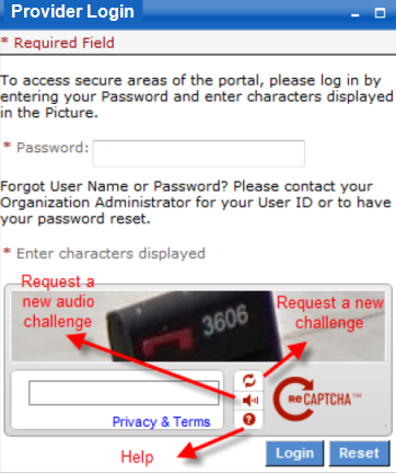 Provider Login password panel with a captcha example